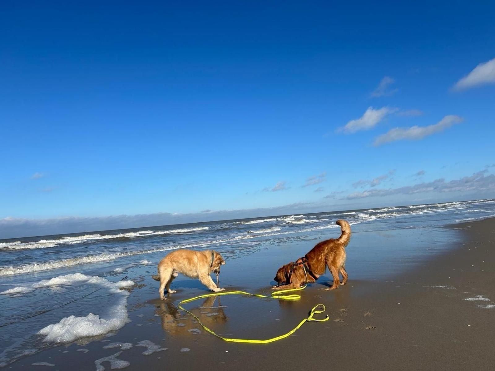 N 9Strandnahes, Hunde-Familienfreundliches Ferienhaus كالانتسوج المظهر الخارجي الصورة